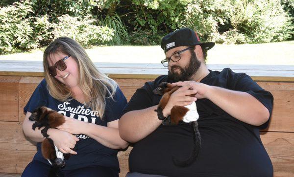 Holding lemurs