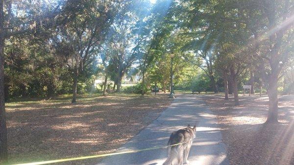 Looking from the parking lot towards the dog park