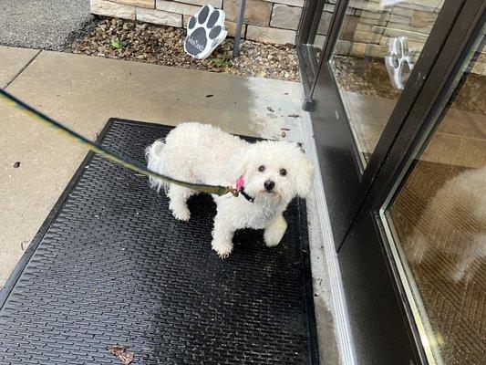 Angel ready for groom!