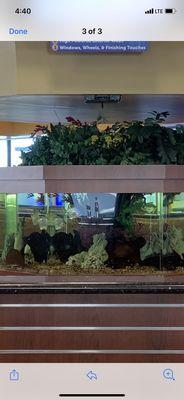 Fish tank in lobby