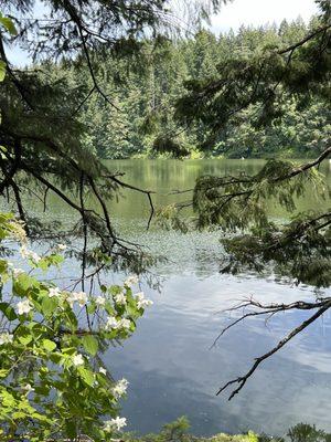 View of the lake