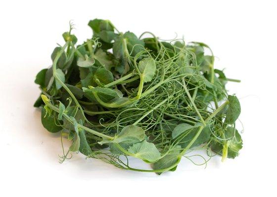 Pea Tendrils