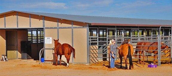 Tucson Equestrian Center