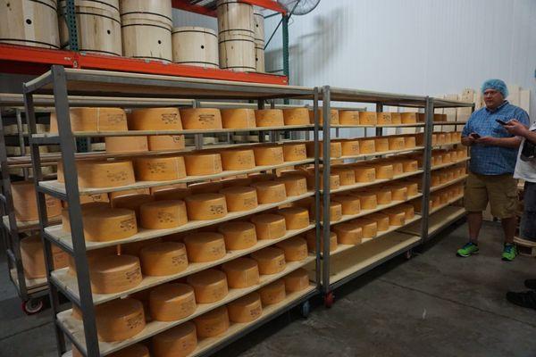 Aging cheese