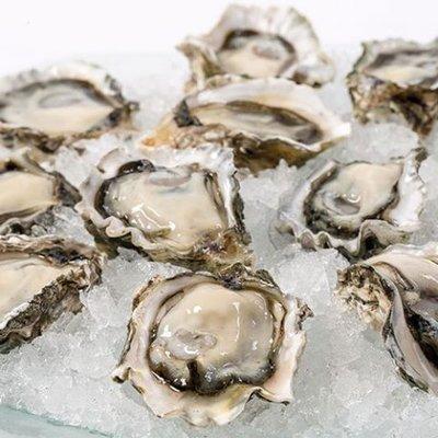 Fresh oysters from Pacific Northwest.