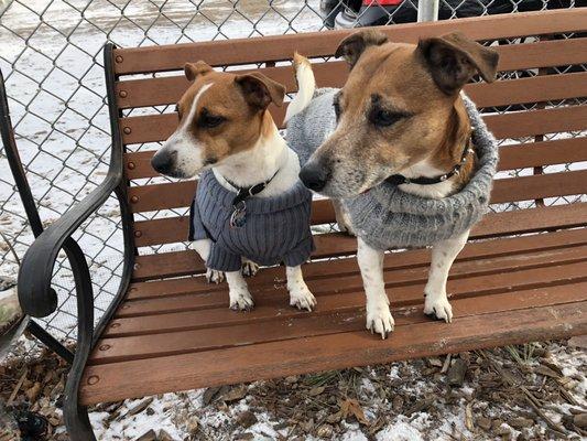 My hobby knitting for my dogs)