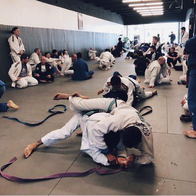 Triunfo Jiu Jitsu & MMA