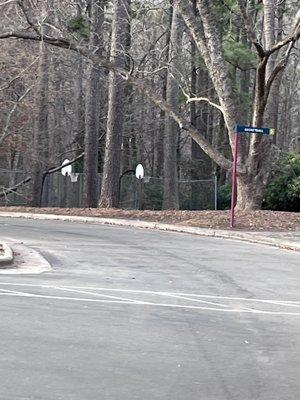 Basketball court