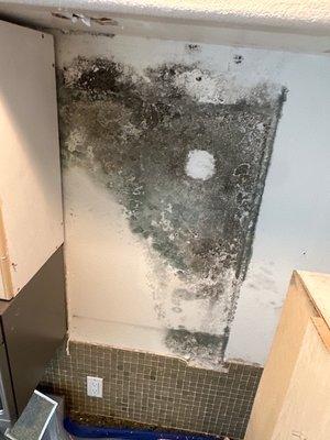 Mold found behind a cabinet. We safely removed all affected areas. #moldremoval