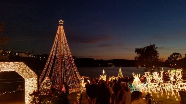 The large tree (of lights) along the lake