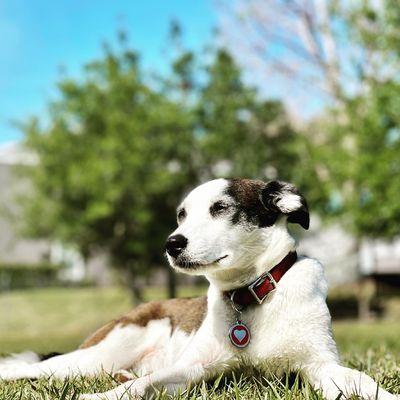 Sun bathing