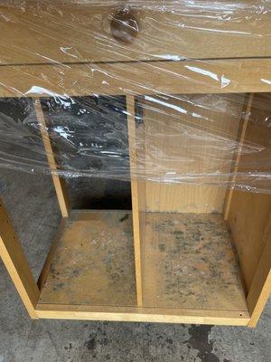 Mold inside of cabinet