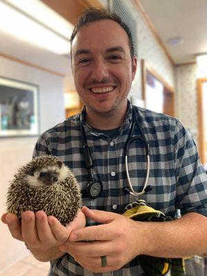 hedgehog exam