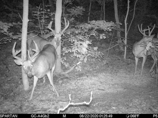 photo of Squatchin O.