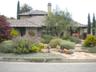 Photo of Drought Tolerant L.