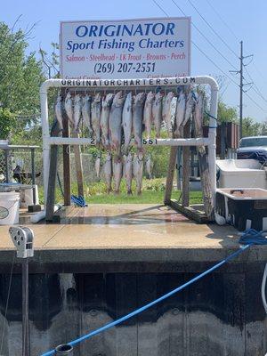 Mix of Salmon and Trout