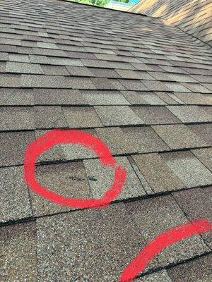 Shingles coming apart