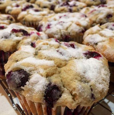 Come Try The Best GLUTEN- FREE Option Sugar Crown Blueberry Muffin at The Brentwood Farmer's Market every Sunday!