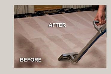 Carpet Cleaning Service