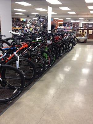 So many great bikes. Great service too!