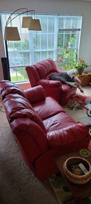 Recliners reupholstered with marine fabric. Although 10+ years old, I still love them--and so does the DOG