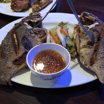 Fry fish