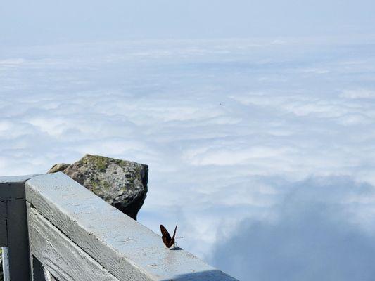 Mount Pilchuck State Park