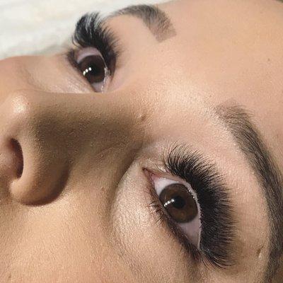 Volume lashes