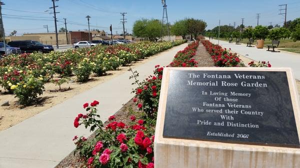 The rose garden is just outside their door. This is one of their projects to help raise money, donate $$ for a memorial plaque.