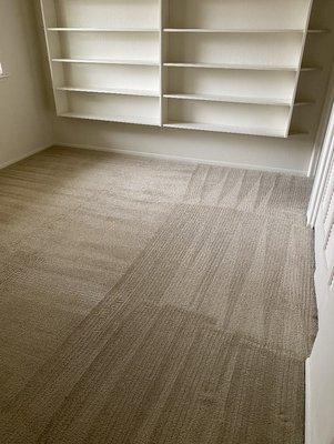 Room Carpet cleaning and design.