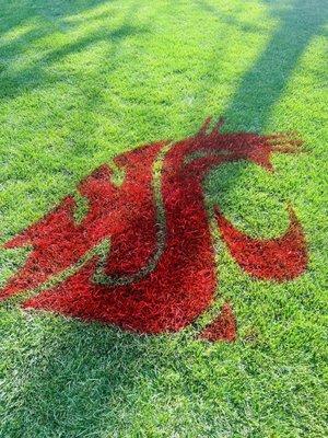 Spokane Trophy Turf