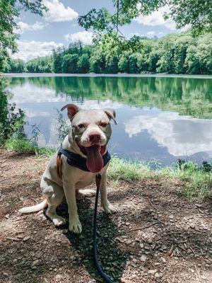 Chenango Valley State Park