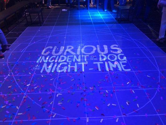 1/5/20. 2pm. Backstage. MLP. Centenary College. The Curious Incident of the Dog in the Night-Time. Read the book. Saw the London production.