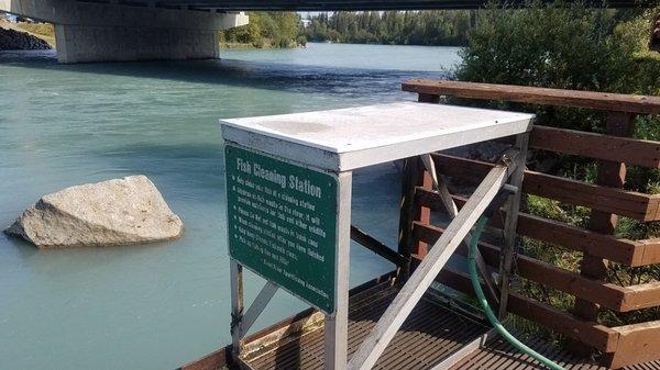 Fish cleaning compliments of Soldotna Visitor Center