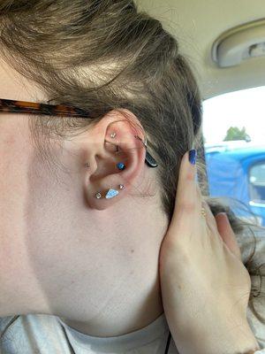 Rook, conch, 2nd and 3rd holes