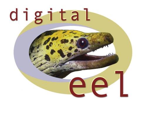 Digital Eel, Inc.