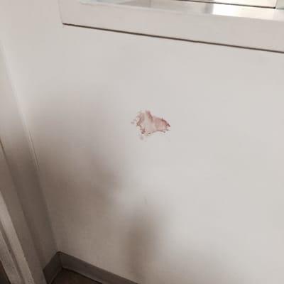 Blood on wall in ER . Staff walked by wall for 3 hours.