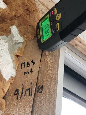 Water content of wood increasing over time. Hello mold