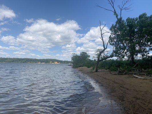 Tidal Pool Loop trail