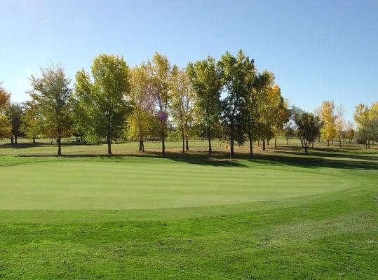 Beautifully manicured golf course