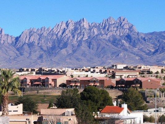 Las Cruces Real Estate