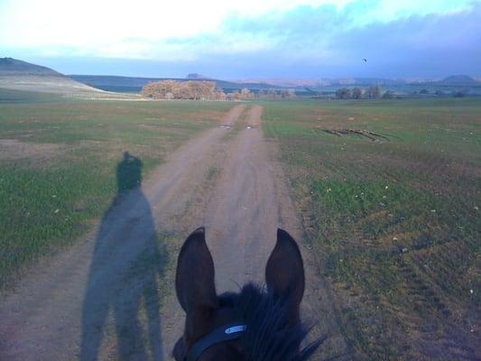 A nice trail ride on a beautiful morning.