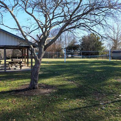 shelter and volleyball