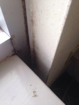 Black mold on wall.