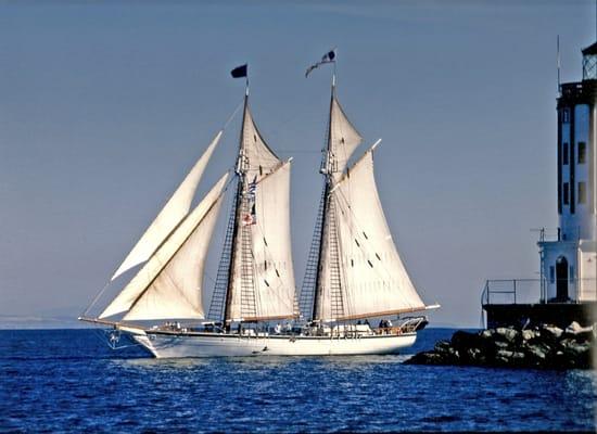 American Tall Ship Institute