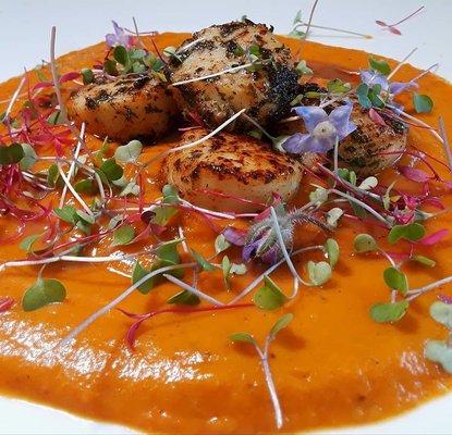 seared scallops in a red pepper coulis