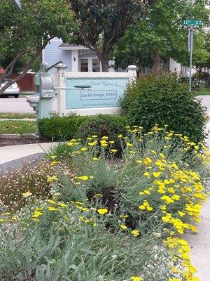 Springtime in Paso Robles. Wheelchair accessible concrete ramp to office.