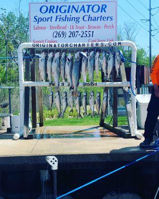 Mix of salmon and Trout