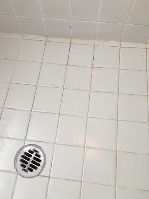 Arizona Grout Restoration