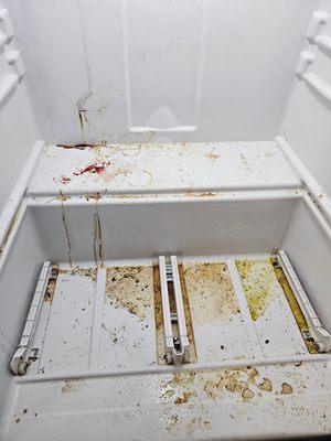 Before picture of a Refrigerator cleaning